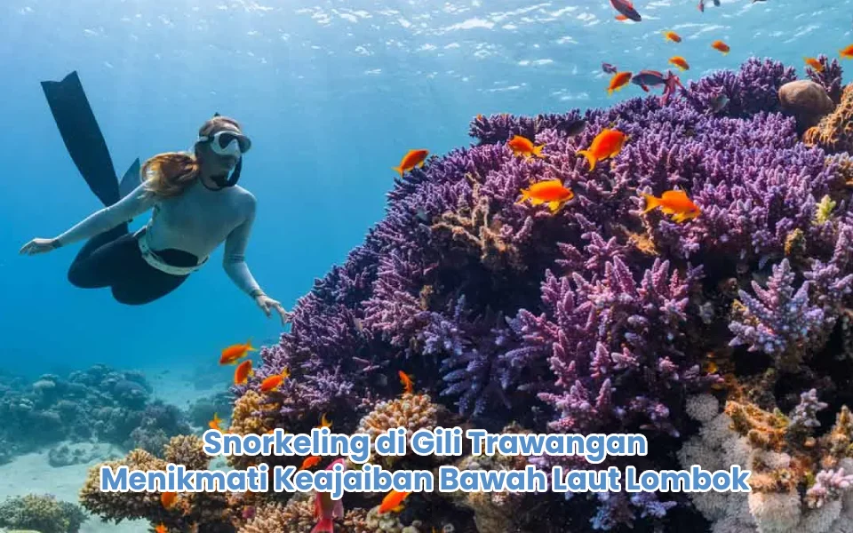 Snorkeling di Gili Trawangan